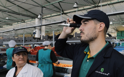 Ecoinver Export obtiene la certificación A+ en BRC y Higher Level en IFS