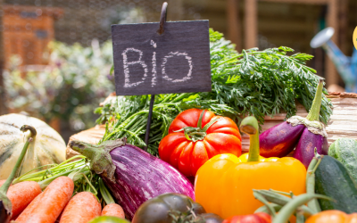 Ecoinver Bio, alimentos producidos de forma tradicional y sostenible