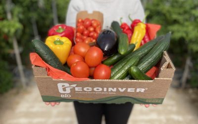 Nace Ecoinver BIO, hortalizas con certificación extra